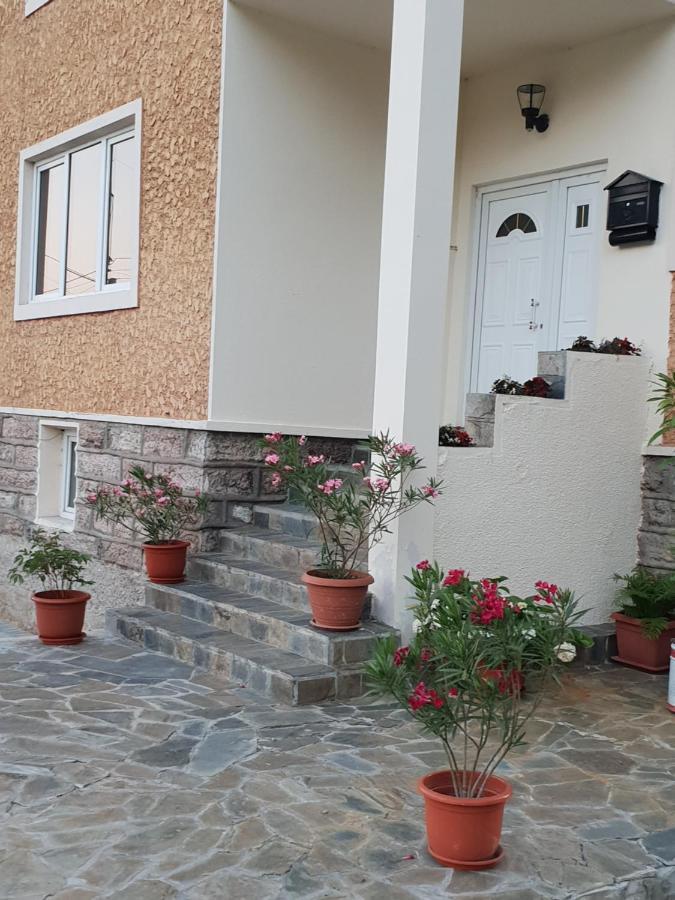 Pretty Garden Vila Orşova Exterior foto