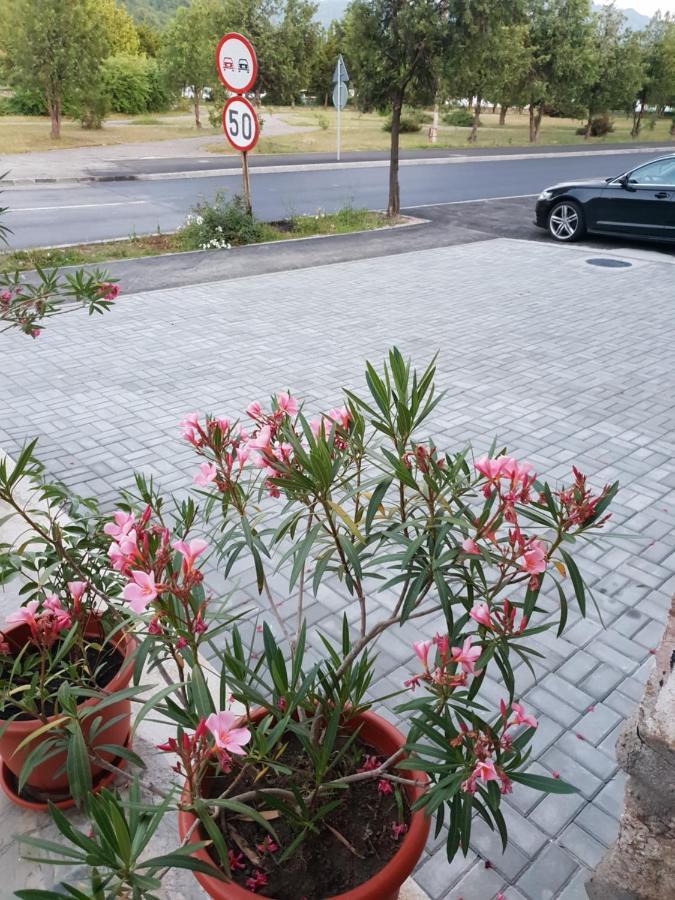 Pretty Garden Vila Orşova Exterior foto